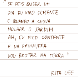 "Se Deus quiser um dia eu viro semente e quando a chuva molhar o jardim Ah, eu fico contente e na primavera vou brotar na terra" Rita Lee